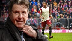 Pini Zahavi (links) und David Alaba (Bild: GEPA, APA/AFP/FRANCK FIFE, krone.at-Grafik)