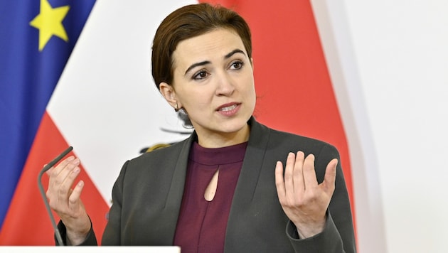 Justizministerin Alma Zadic (Grüne) (Bild: APA/Hans Punz)
