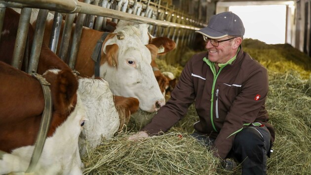 Johann Altendorfers 40 Milchkühe scheren sich nicht um das Virus und geben kräftig Milch (Bild: Tschepp Markus)