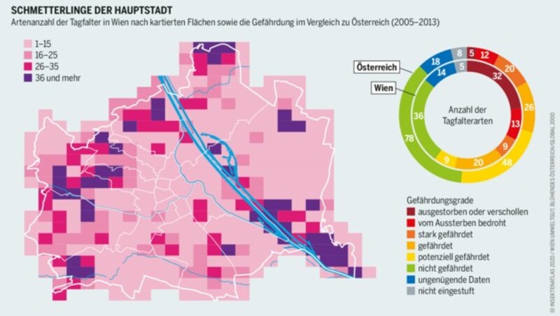 (Bild: Ellen Stockmar/GLOBAL 2000)