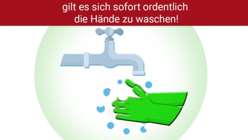 (Bild: stock.adobe.com, krone.at-Grafik)