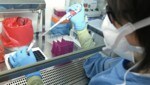 Eine neue Studie aus Ungarn kommt zu dem Schluss, dass das Coronavirus doch in einem Labor entstanden sein könnte (Symbolbild). (Bild: APA/Hans Klaus Techt)