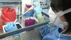 Eine neue Studie aus Ungarn kommt zu dem Schluss, dass das Coronavirus doch in einem Labor entstanden sein könnte (Symbolbild). (Bild: APA/Hans Klaus Techt)