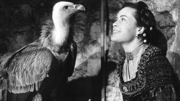 Barbara Rütting als „Geierwally“ mit dem Geier „Anka“ bei den Filmaufnahmen im Jahr 1956 (Bild: dpa/A0095 Göbel)