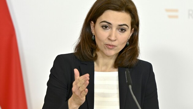 Ministerin Alma Zadic (Grüne) (Bild: APA/Herbert Neubauer)