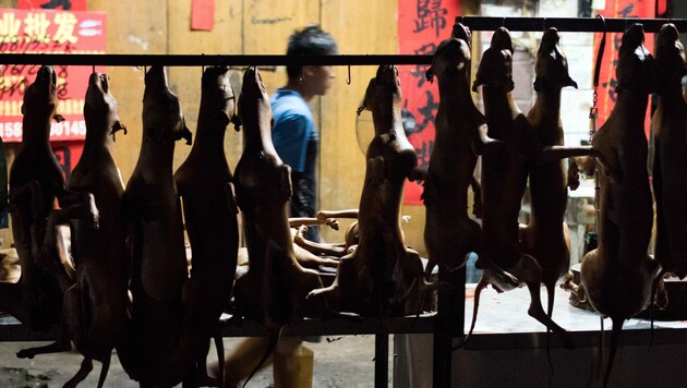 Hundefleisch auf einem asiatischen Markt (Bild: AFP)
