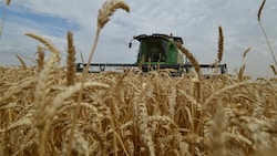 Das Ende des russisch-ukrainischen Getreideabkommens sorgt unter hiesigen Agrar- und Nahrungsindustrie-Vertretern für weniger Nervosität. (Bild: AFP)