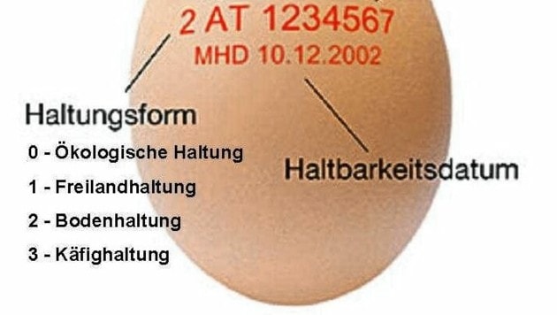 Jedes Ei ist gekennzeichnet: AT steht für Österreich! (Bild: KRONEN ZEITUNG)