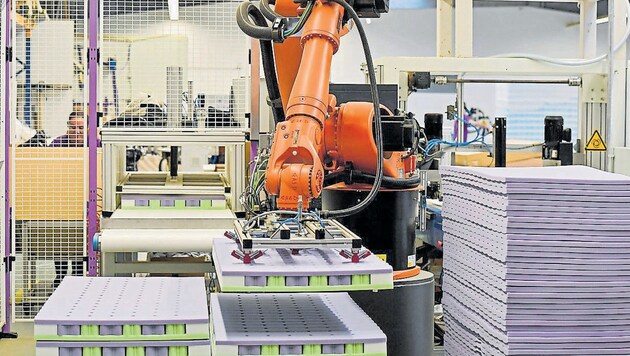 Neben 86 Mitarbeitern ist derzeit ein Roboter bei Träumeland im Einsatz. (Bild: Harald Dostal)