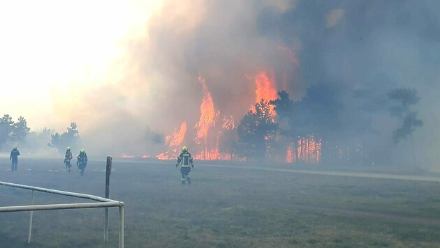 Wieder steht der Föhrenwald in Flammen. (Bild: Einsatzdoku.at)