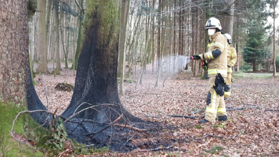 Die Freiwillige Feuerwehr Eugendorf löschte den Flurbrand. (Bild: Freiwillige Feuerwehr Eugendorf)