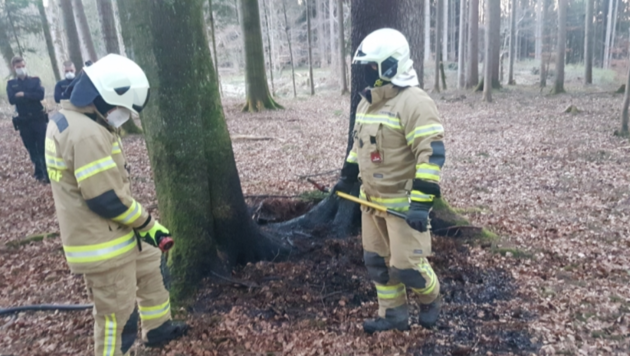 (Bild: Freiwillige Feuerwehr Eugendorf)