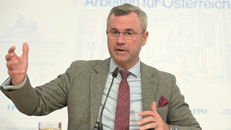 FPÖ-Chef Norbert Hofer (Bild: APA/HERBERT P. OCZERET)