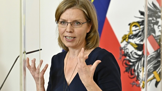 Klimaschutzministerin Leonore Gewessler (Grüne) (Bild: APA/HANS PUNZ)