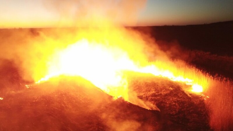 380 Feuerwehrleute sind im Einsatz, um den Brand in der Sperrzone rund um das ehemalige Atomkraftwerk Tschernobyl unter Kontrolle zu bringen. (Bild: AFP)