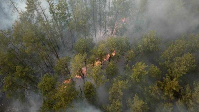 Das Waldfeuer brennt in der Nähe des ukrainischen Dorfes Volodymyrivka. Auch eine Woche nach Beginn der Brände konnten die Feuerwehrleute das Feuer noch nicht unter Kontrolle bringen. (Bild: AP)