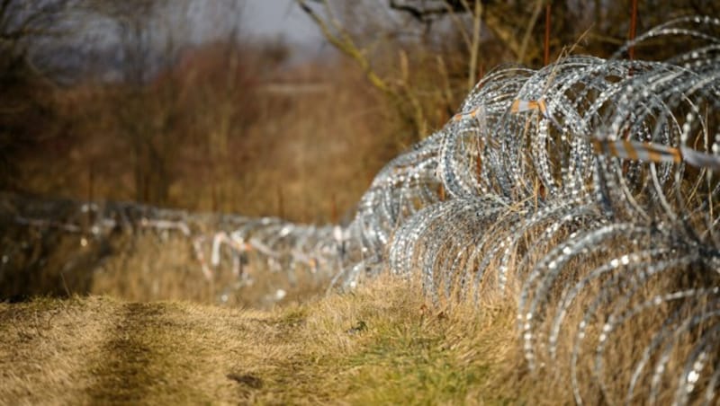 Ein als „Concertina“ bezeichneter Klingendrahtzaun an der slowenisch-kroatischen Grenze (Bild: AFP/Jure Makovec)