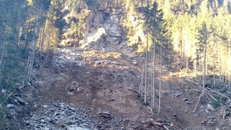 Der Felssturz hat in der Sturzbahn auch alle Bäume mit sich gerissen. (Bild: Landesgeologie/Außerlechner)