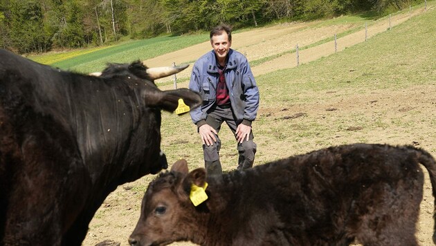 Landwirt Franz Hofstätter hofft dringend auf Regen. (Bild: Sepp Pail)