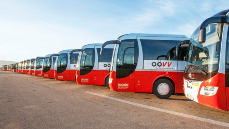 Der Fuhrpark der OÖVV-Busse (Bild: OÖVV)