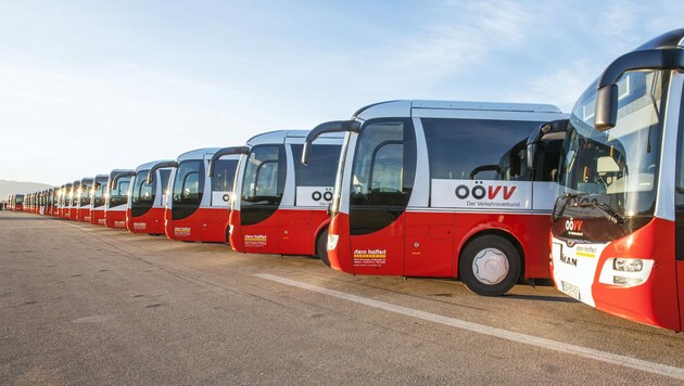 Der Fuhrpark der OÖVV-Busse (Bild: OÖVV)