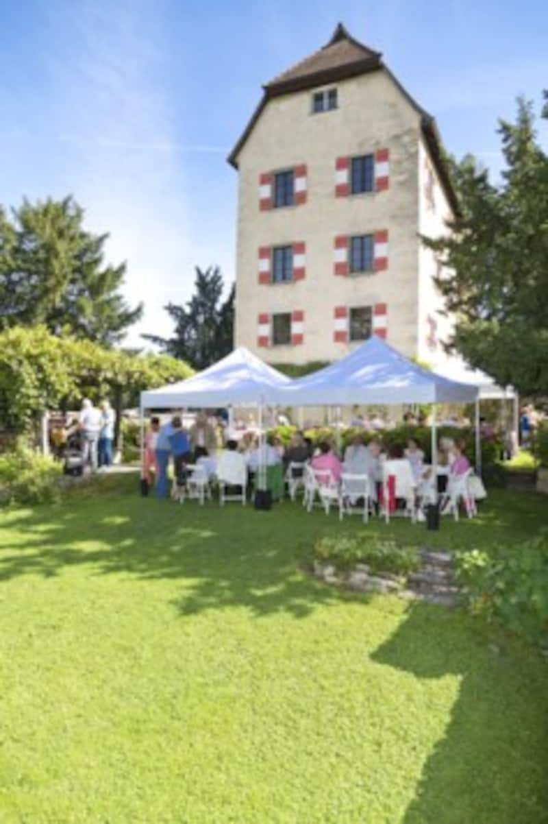 Karin Peer plant Veranstaltungen auf Schloss Amberg in Feldkirch (Bild: Mathis Fotografie)