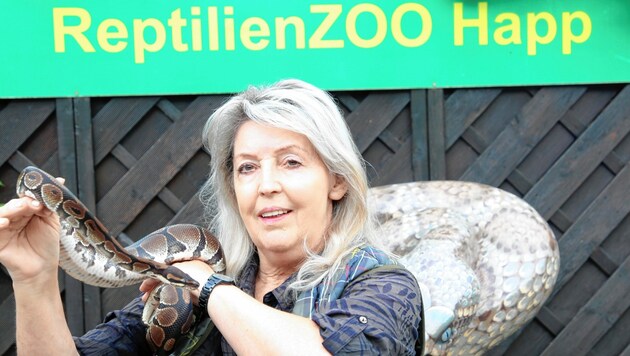 Die Exoten im Reptilienzoo von Helga Happ in Klagenfurt sind beliebt. (Bild: Evelyn HronekKamerawerk)