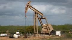 Die UN-Weltklimakonferenz in Brasilien ist am Samstag zu Ende gegangen. Der Fahrplan, um von ...