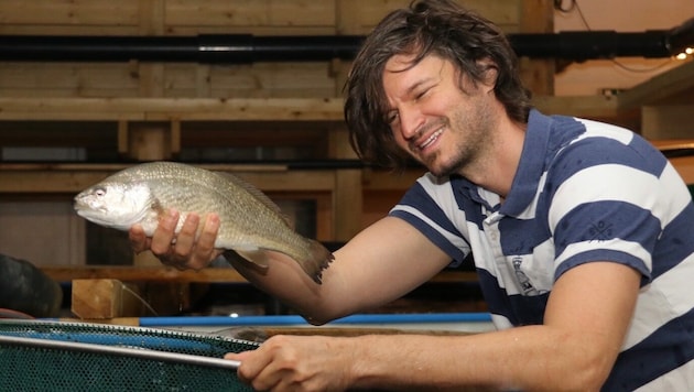 Michael Wesonig kennt sich aus mit frischen Fischen (Bild: Christian Jauschowetz)
