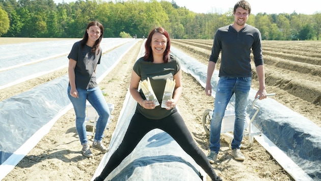 Die „Jungen, wilden Gemüsebauern“ Claudia Hofer (Mitte), Irene Gombotz und Markus Klobassa (Bild: Sepp Pail)