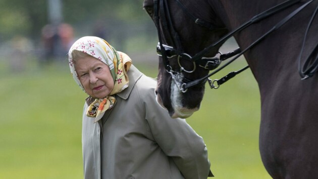 Queen Elizabeth II. liebt Pferde. (Bild: www.PPS.at)
