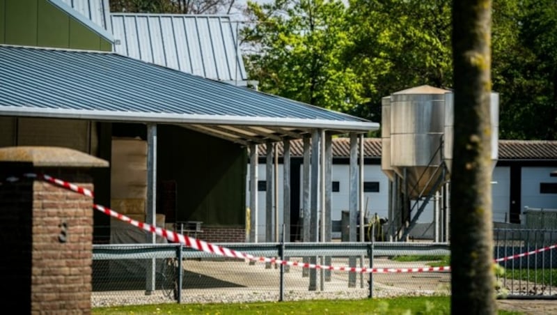 Die Nerzfarm in Beek en Donk wurde von den Behörden in einem Umreis von 400 Metern abgeriegelt. (Bild: APA/AFP/ANP/Rob Engelaar)