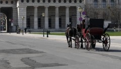 Zwei Touristen erlebten eine ereignisreiche Fiakerfahrt in der Wiener Innenstadt. (Bild: APA/HELMUT FOHRINGER)