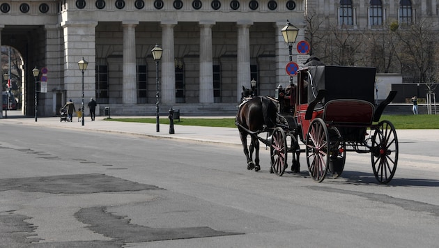 İki turist Viyana şehir merkezinde olaylı bir at arabası yolculuğu yaşadı. (Bild: APA/HELMUT FOHRINGER)