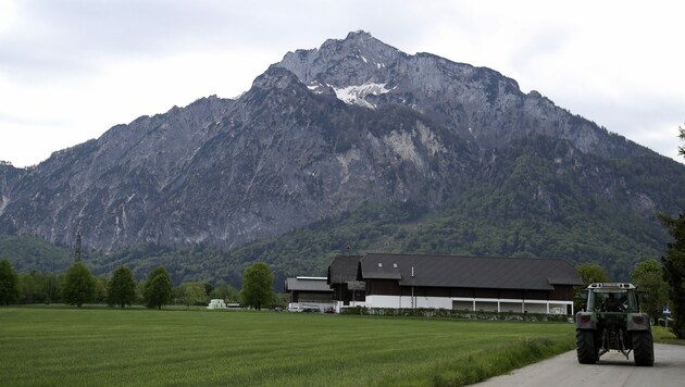 Die Salzburger Landwirte können etwas aufatmen. (Bild: ANDREAS TROESTER)