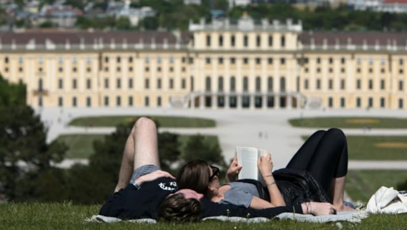 Blick auf Schloss Schönbrunn (Bild: AFP)