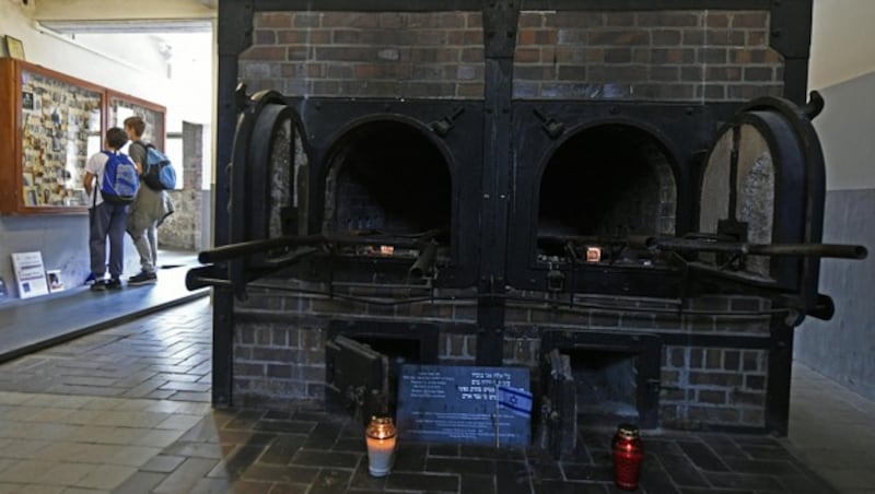 Ein Verbrennungsofen im ehemaligen Konzentrationslager Mauthausen (Bild: APA/Harald Schneider)