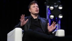 Der neue Twitter-Chef Elon Musk will den Dienst im Eiltempo umbauen, kämpft aber mit einem Exodus der Werbekunden. (Bild: 2020 Getty Images)