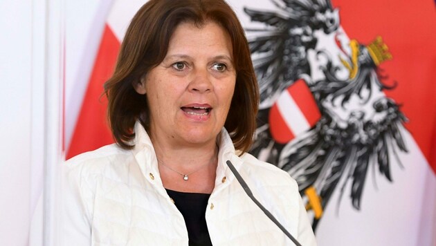 AK-Chefin Renate Anderl (Bild: APA/HELMUT FOHRINGER)