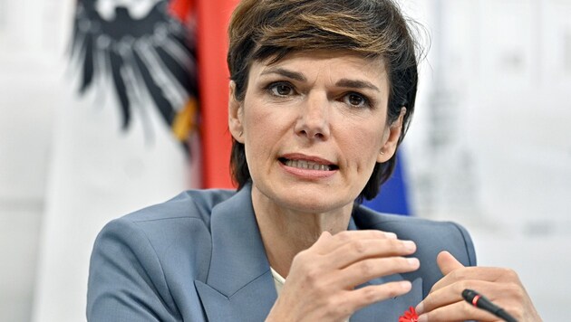 Pamela Rendi-Wagner (Bild: APA/Hans Punz)