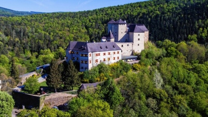 Fledermäuse leben auf dem Dachboden von Burg Lockenhaus... (Bild: Ritterburg Lockenhaus)