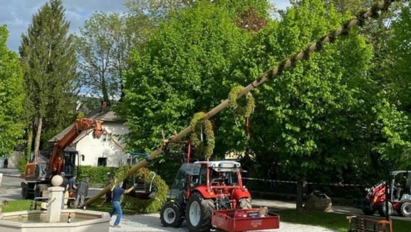 Die Feuerwehr Anif beim Maibaum-Aufstellen (Bild: FW Anif)