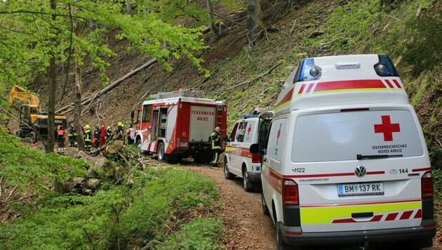 Die Freiwillige Feuerwehr Thörl und das Rote Kreuz standen im Einsatz. (Bild: Fladl/FF-Thörl)