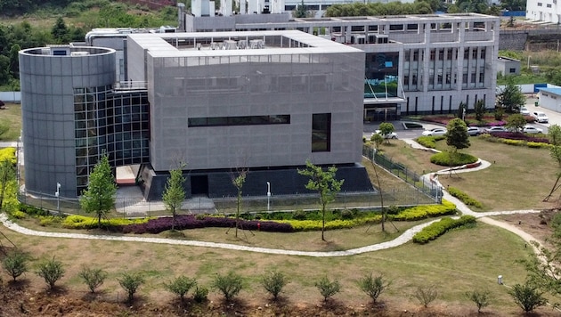 Das Wuhan Institute of Virology: Virenforschung im Epizentrum der Pandemie (Bild: APA/AFP/HECTOR RETAMAL)