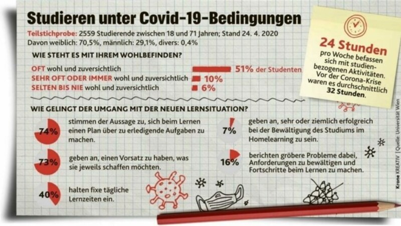 Umfrage unter Studierenden im April 2020 (Bild: Krone Kreativ)