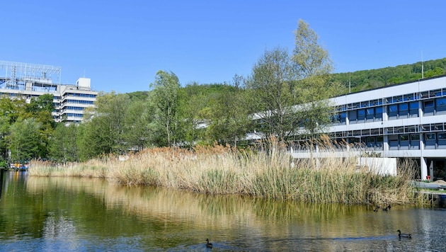 Blick auf einen Teil des JKU-Campus (Bild: © Harald Dostal)