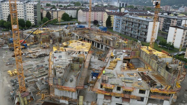 Der Bau von Baufeld1 am Campagne-Areal Reichenau schreitet trotz Corona planmäßig voran. (Bild: IKM/W.Giuliani)