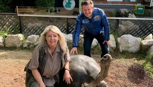 Im Vorjahr hatte Noch-Stadtrat Christian Scheider die Patenschaft für Galapagos Riesenschildkröte Poldi übernommen. (Bild: Claus Dieter Nunner)