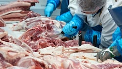 Das Unternehmen betreibt eine Fleischhauerei und ein Nachtlokal (Symbolbild). (Bild: ©Renar - stock.adobe.com (Symbolbild))