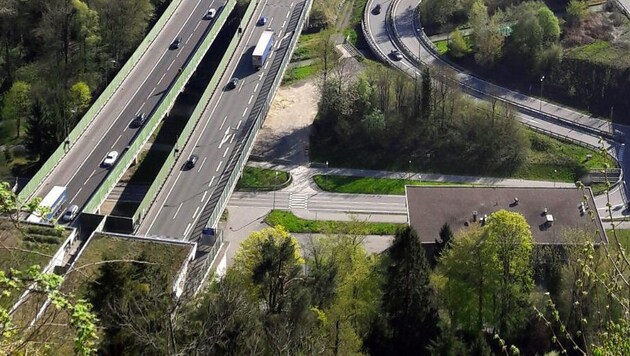 Pfänder Tunnel portal: the 78-year-old turned around in the left-hand lane. (Bild: APA/ANGELIKA GRABHER-HOLLEINSTEIN)